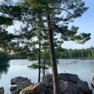 Meet your Posher, Koriena